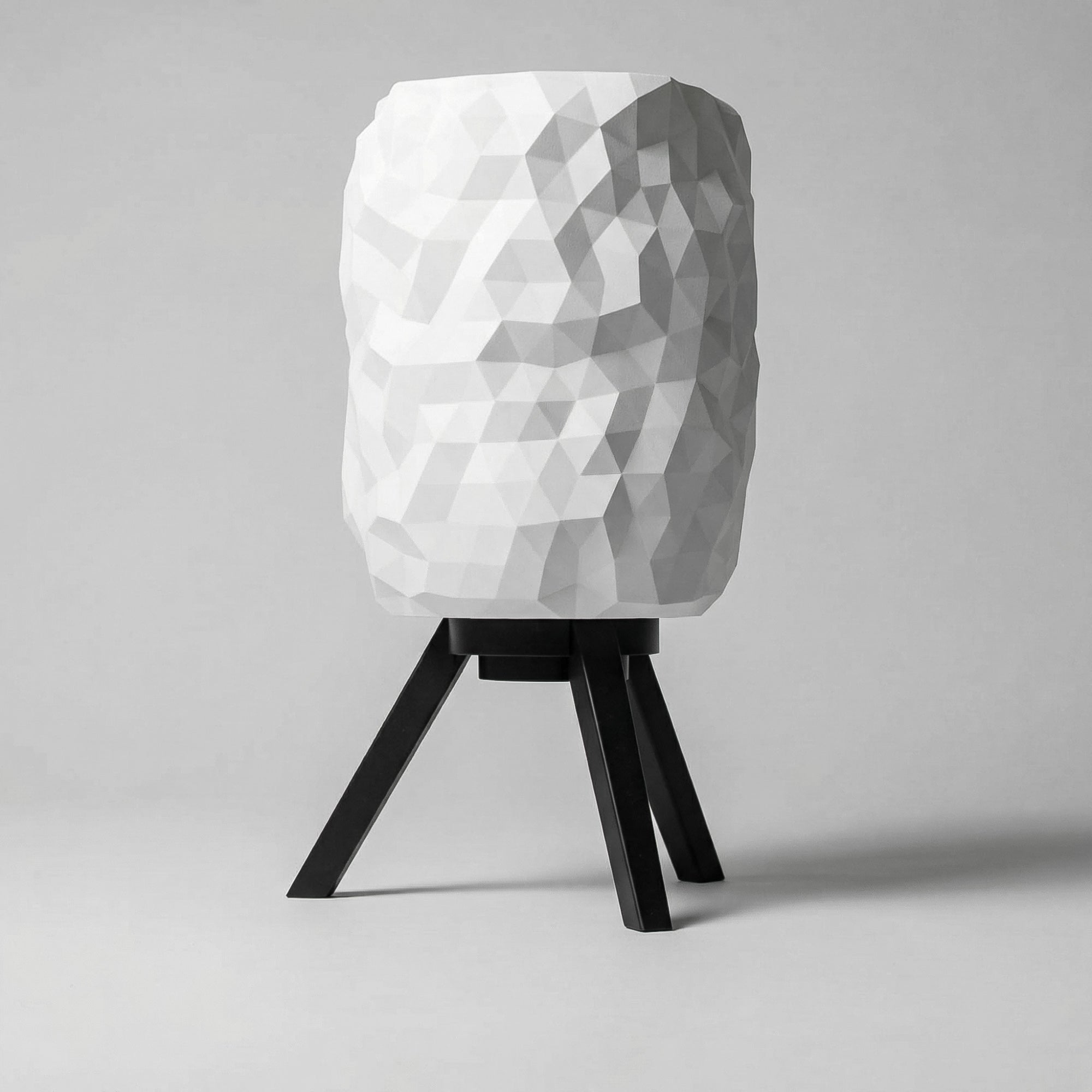 Couvercle de Lampe - Tazerzit - Image 2